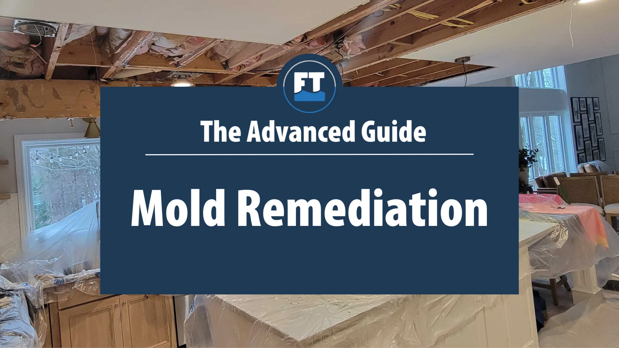 The Advanced Guide to Mold Remediation
